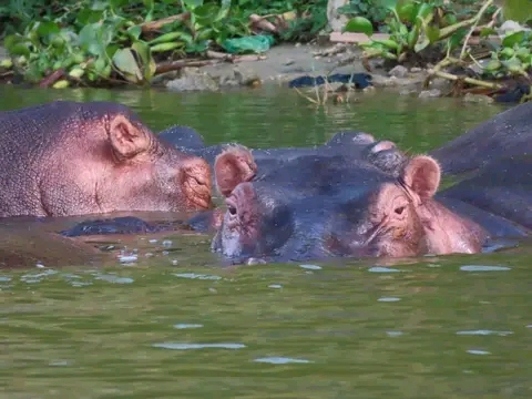QUEEN ELIZABETH NATIONAL PARK