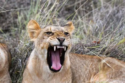 2 DAYS LAKE MBURO -QUEEN ELIZABETH NATIONAL PARK