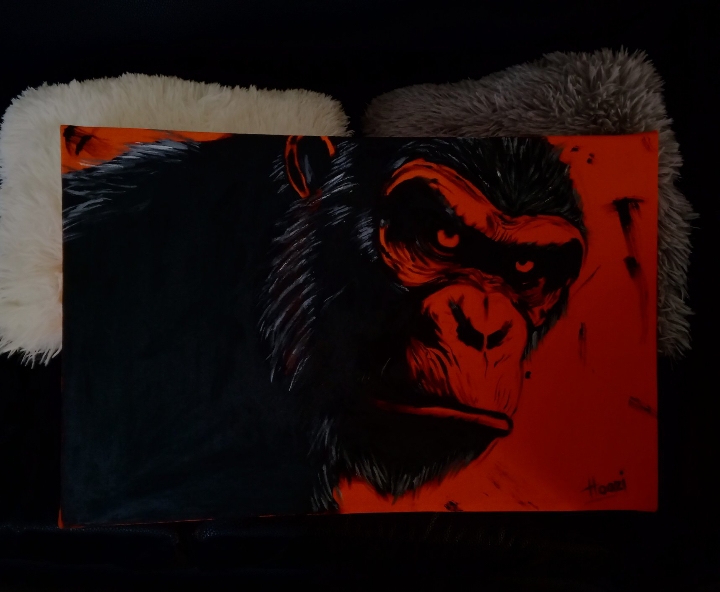 Chimps 